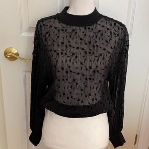 Zara Black Sheer Top with Delicate Floral Detail